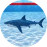 Fed The Shark! badge icon